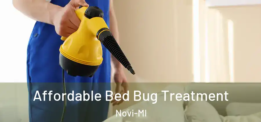 Affordable Bed Bug Treatment Novi-MI