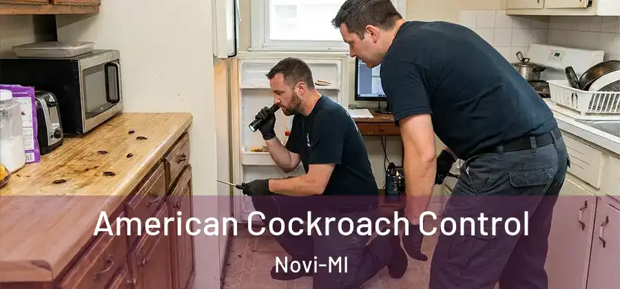 American Cockroach Control Novi-MI