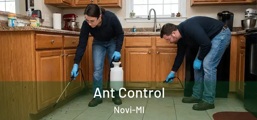 Ant Control Novi-MI