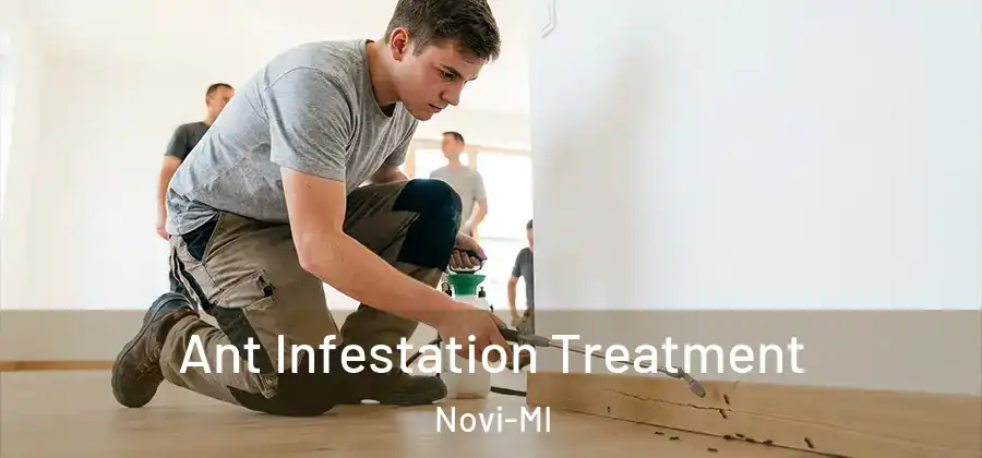 Ant Infestation Treatment Novi-MI