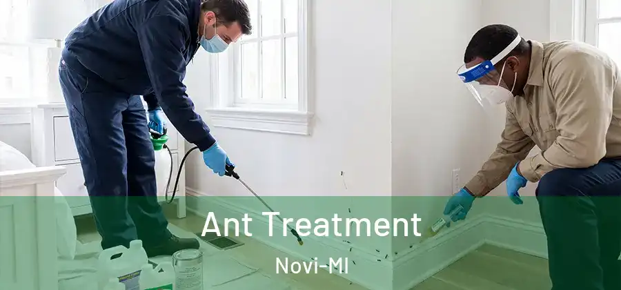 Ant Treatment Novi-MI