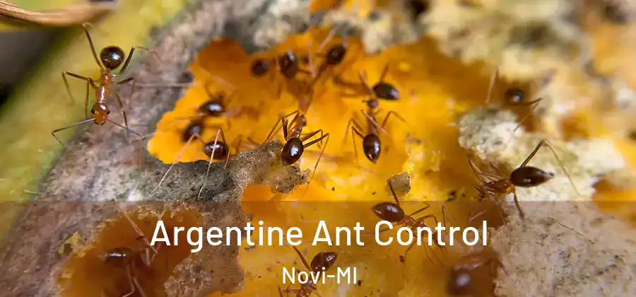 Argentine Ant Control Novi-MI