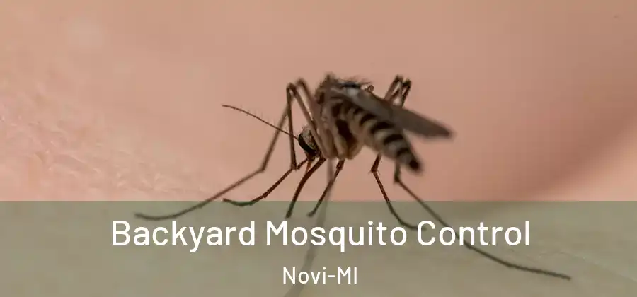 Backyard Mosquito Control Novi-MI