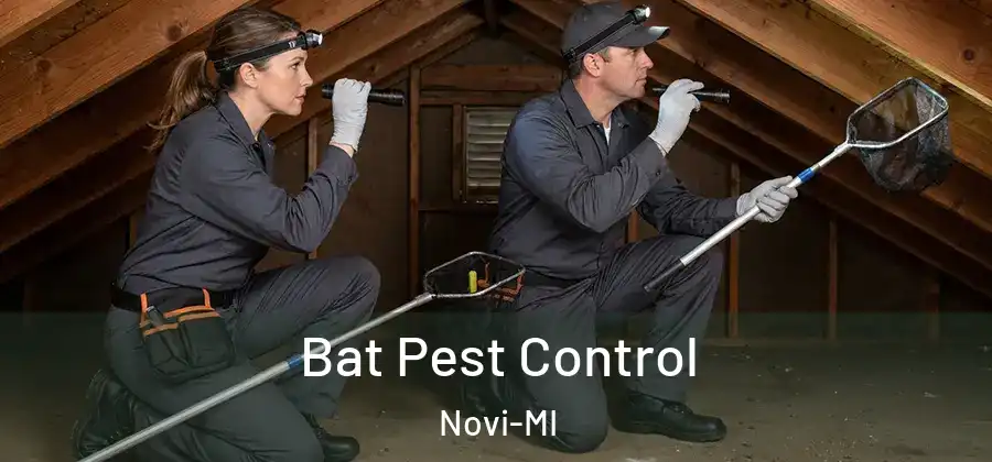 Bat Pest Control Novi-MI