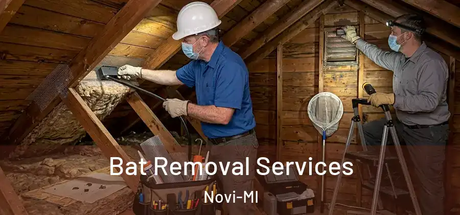 Bat Removal Services Novi-MI