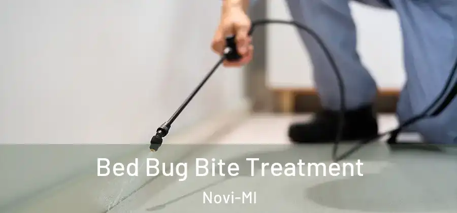 Bed Bug Bite Treatment Novi-MI