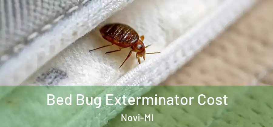 Bed Bug Exterminator Cost Novi-MI