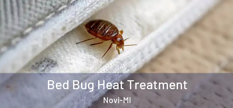  Bed Bug Heat Treatment Novi-MI