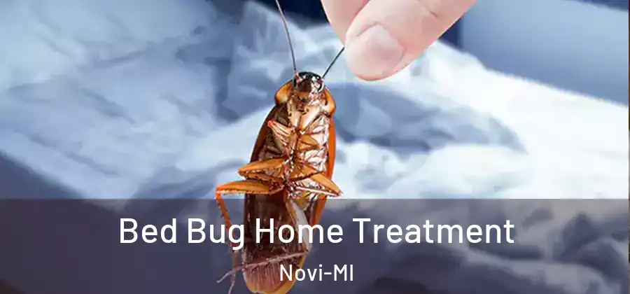  Bed Bug Home Treatment Novi-MI
