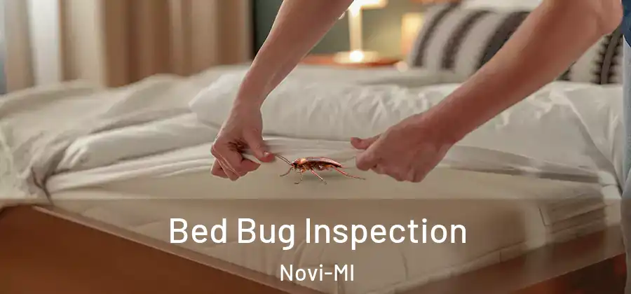 Bed Bug Inspection Novi-MI
