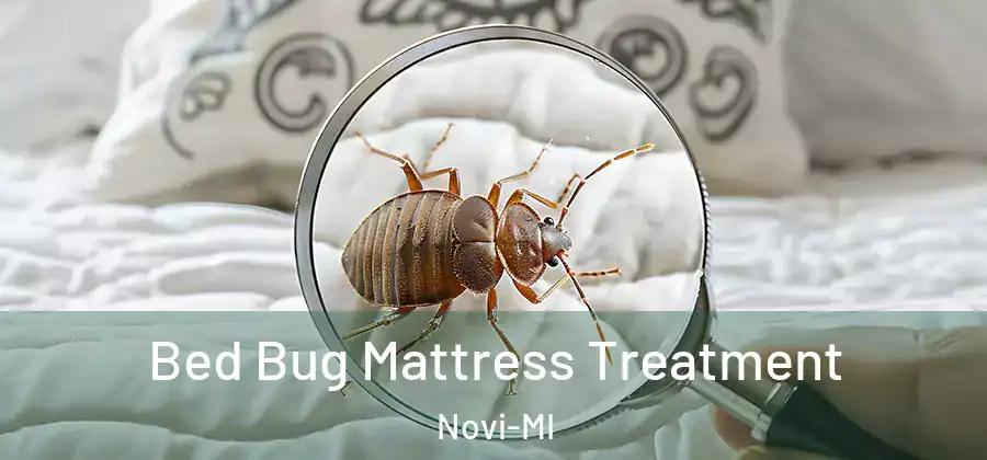 Bed Bug Mattress Treatment Novi-MI