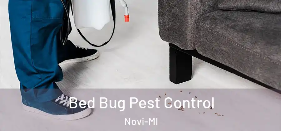 Bed Bug Pest Control Novi-MI