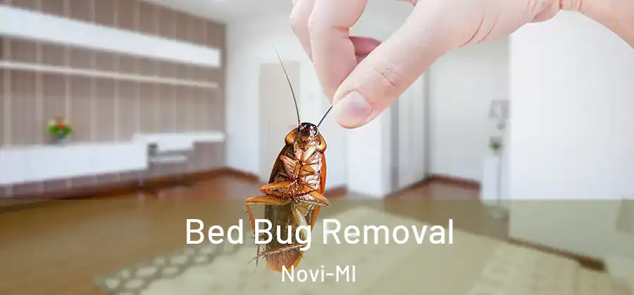 Bed Bug Removal Novi-MI