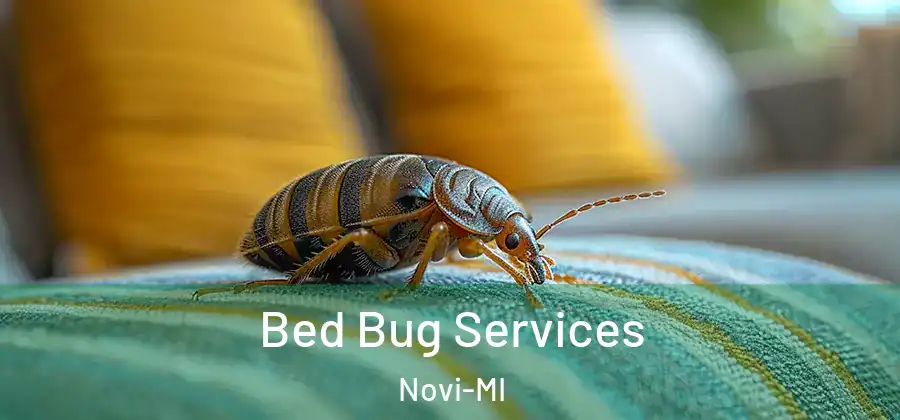 Bed Bug Services Novi-MI
