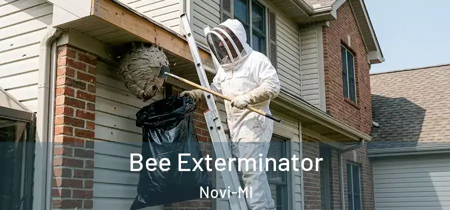 Bee Exterminator Novi-MI