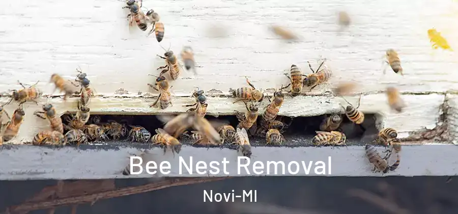 Bee Nest Removal Novi-MI