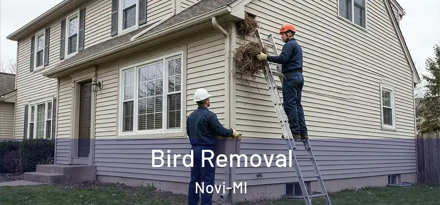 Bird Removal Novi-MI