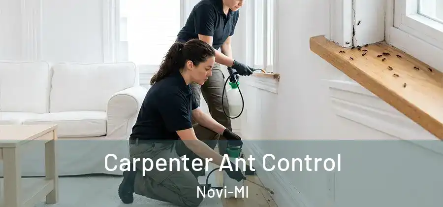 Carpenter Ant Control Novi-MI