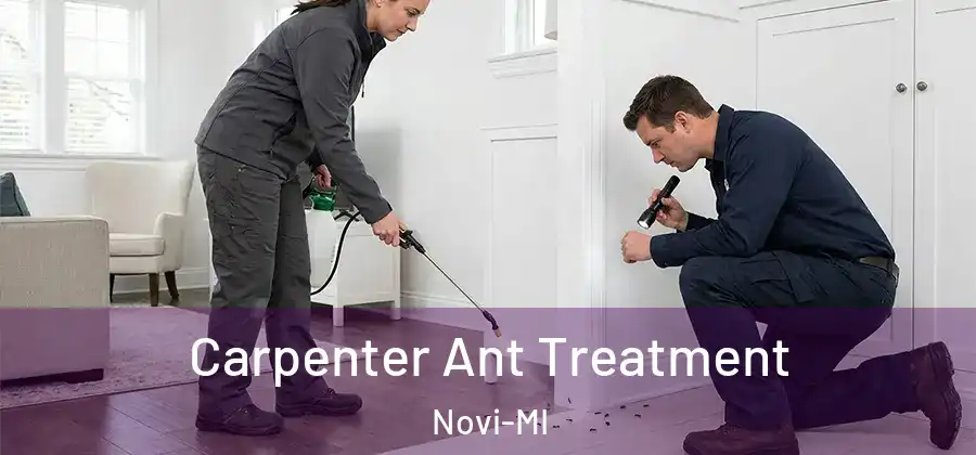  Carpenter Ant Treatment Novi-MI