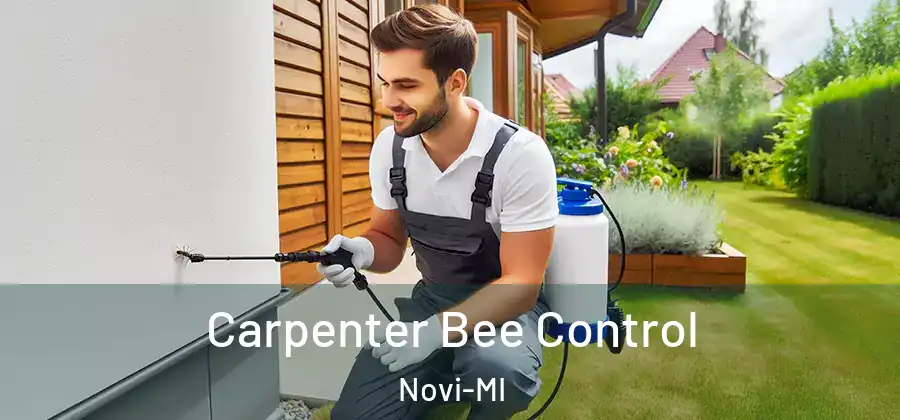 Carpenter Bee Control Novi-MI