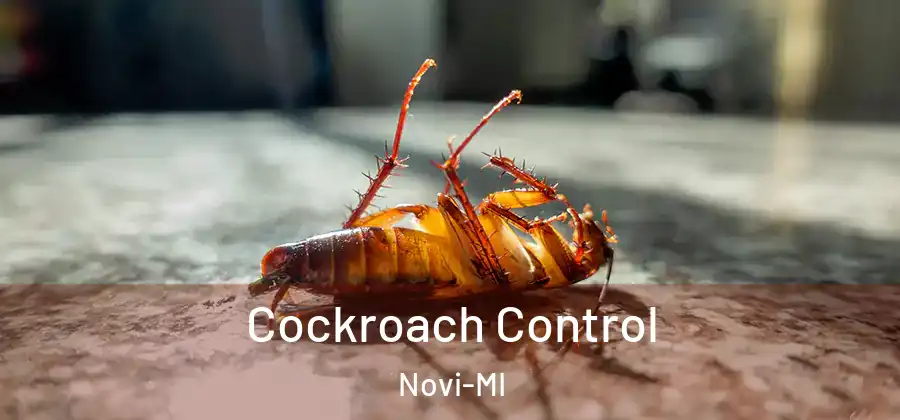 Cockroach Control Novi-MI