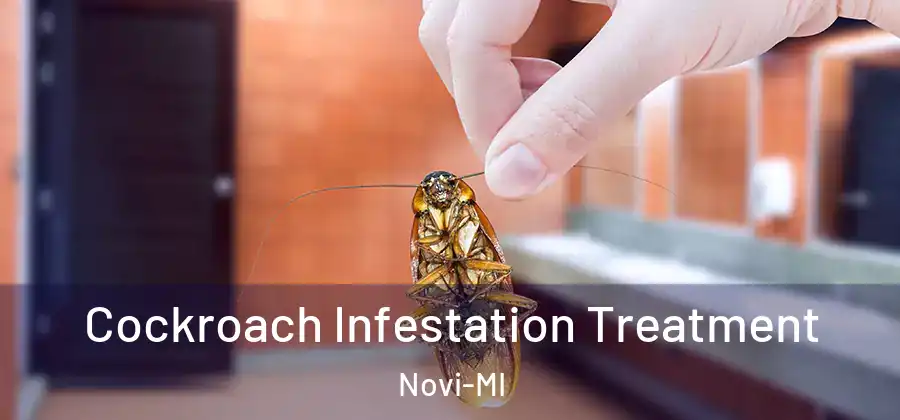  Cockroach Infestation Treatment Novi-MI
