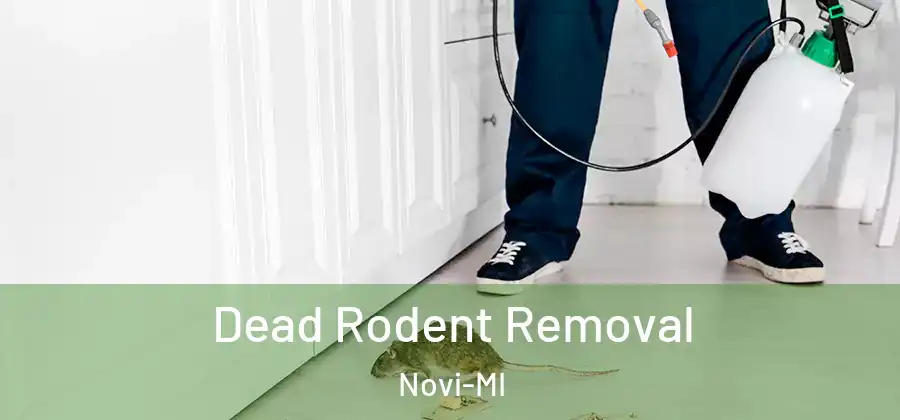 Dead Rodent Removal Novi-MI
