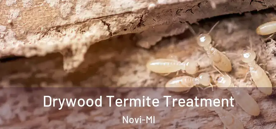  Drywood Termite Treatment Novi-MI