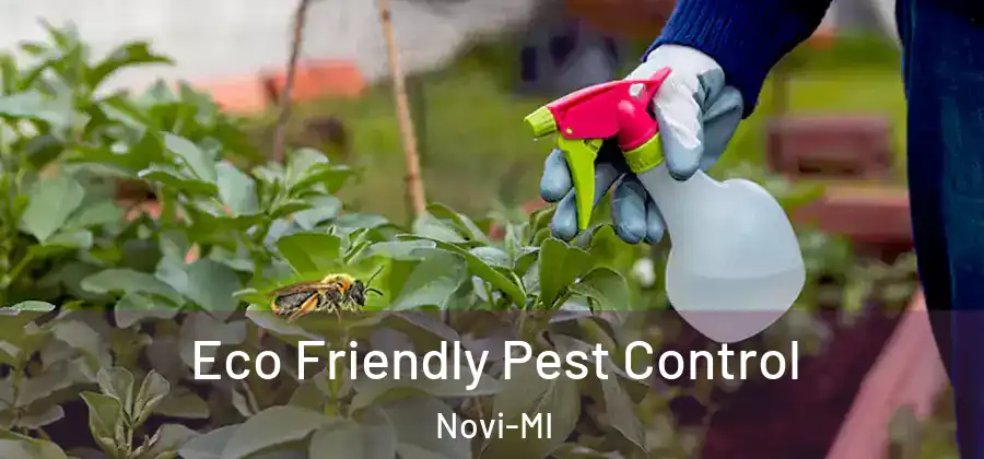 Eco Friendly Pest Control Novi-MI