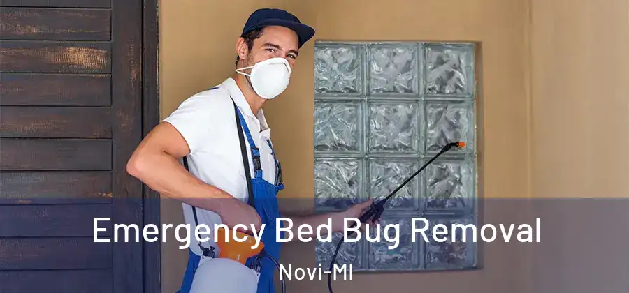 Emergency Bed Bug Removal Novi-MI