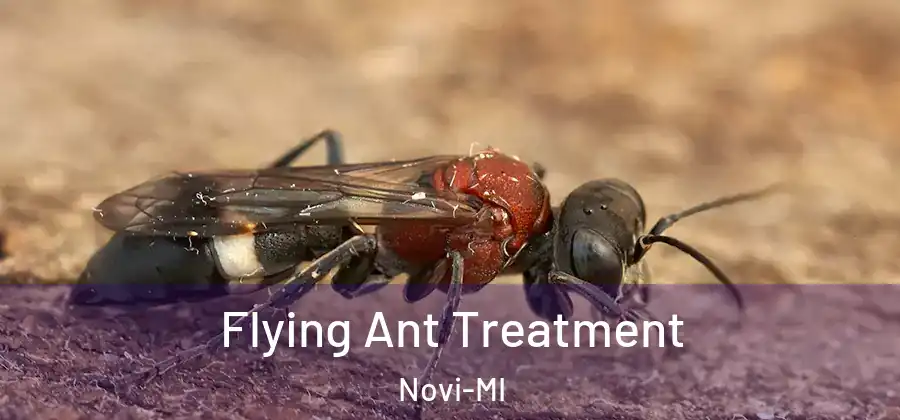 Flying Ant Treatment Novi-MI