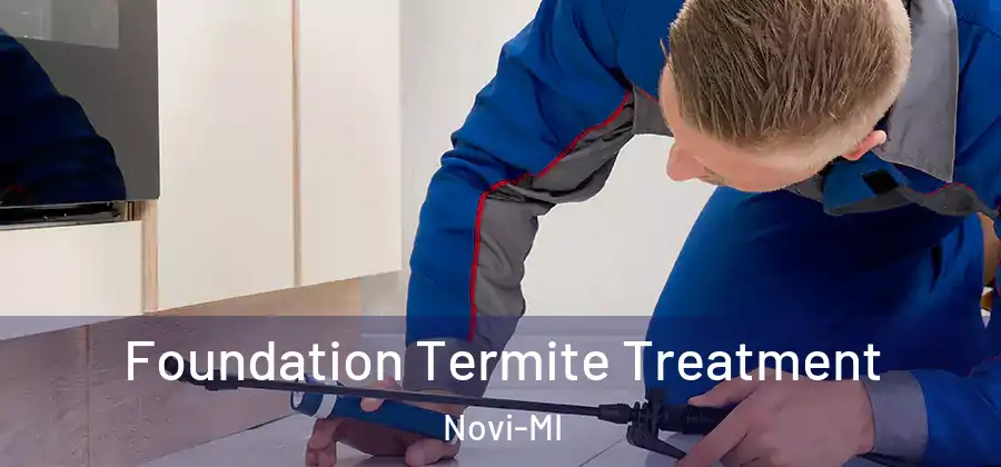 Foundation Termite Treatment Novi-MI
