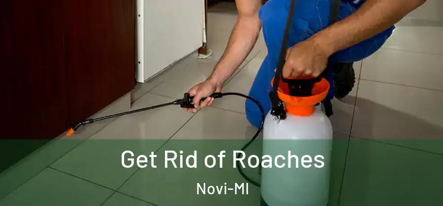 Get Rid of Roaches Novi-MI