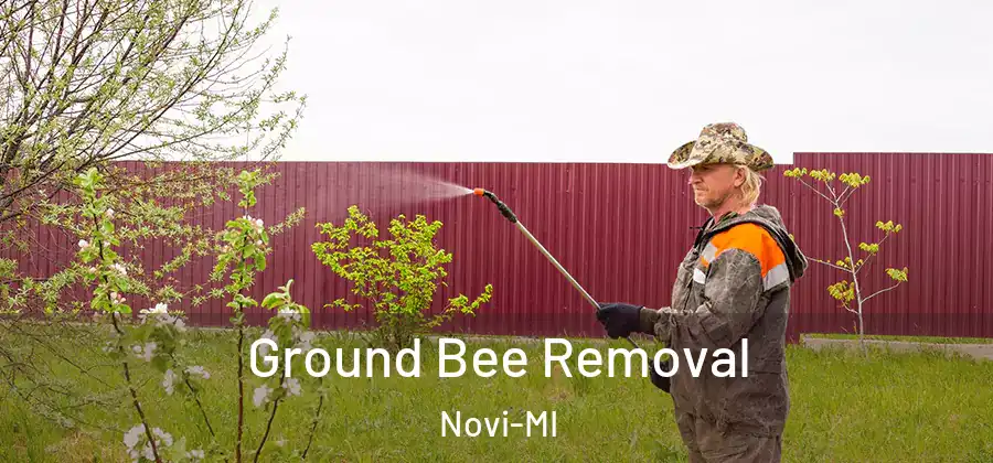 Ground Bee Removal Novi-MI