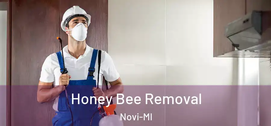 Honey Bee Removal Novi-MI