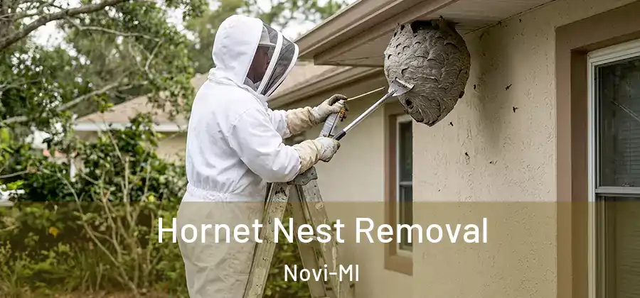 Hornet Nest Removal Novi-MI