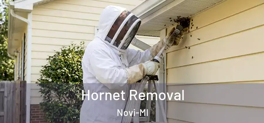 Hornet Removal Novi-MI
