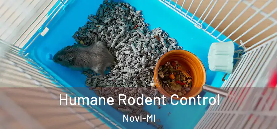 Humane Rodent Control Novi-MI
