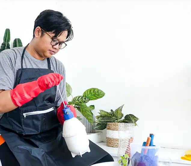 About Bed Bug Chemical Treatment Experts in Novi, MI