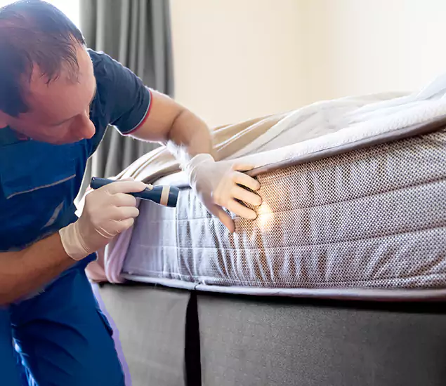 Trusted Bed Bug Cost Experts in Novi, MI
