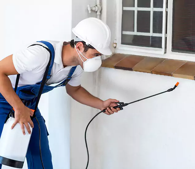 Your Professional Cockroach Exterminator in Novi, MI