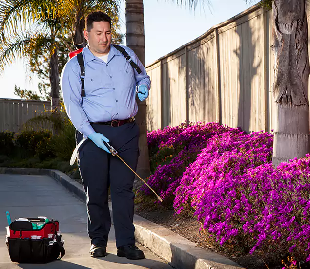 About Our Eco Safe Pest Control Experts in Novi, MI