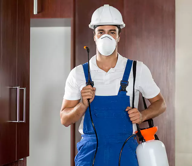 Trusted Exterminator and Pest Exterminator Professionals in Novi, MI
