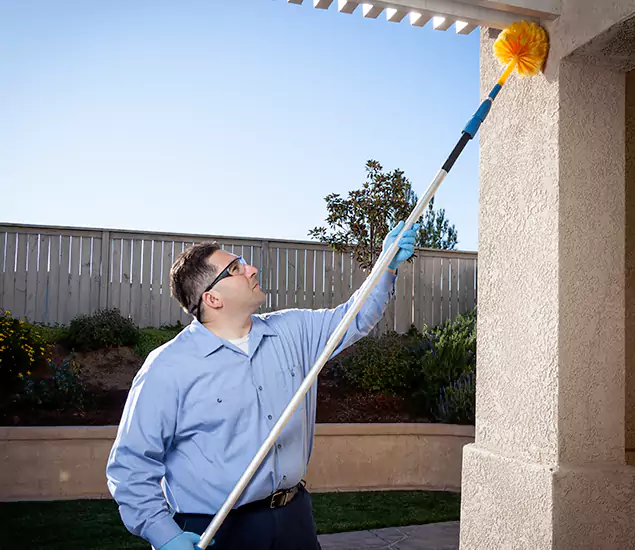 Trusted Experts in Novi MI for Formosan Termite Treatment and Black Termite Control