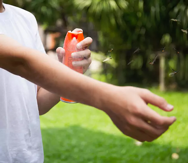 Your Best Indoor Bug Killer Team in Novi, MI