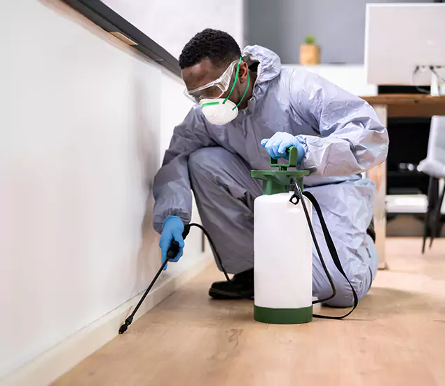 Leading Industrial Pest Control Experts Serving Novi, MI