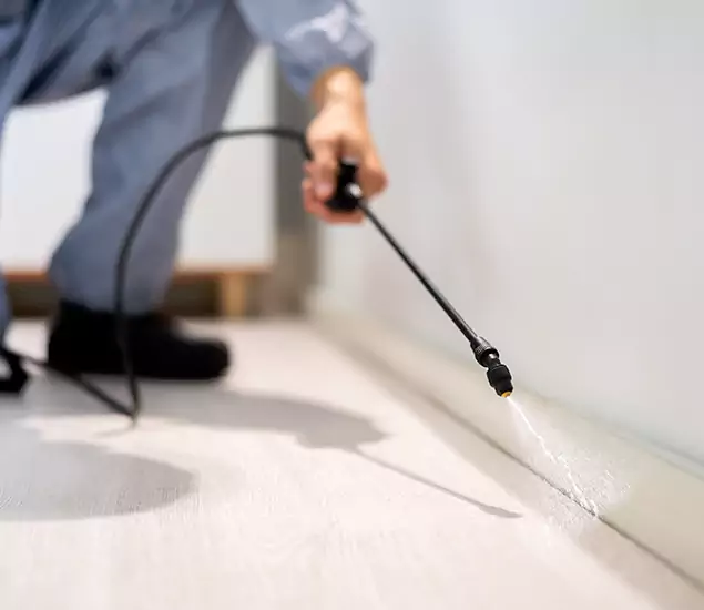 About Our Liquid Termite Treatment Experts in Novi, MI