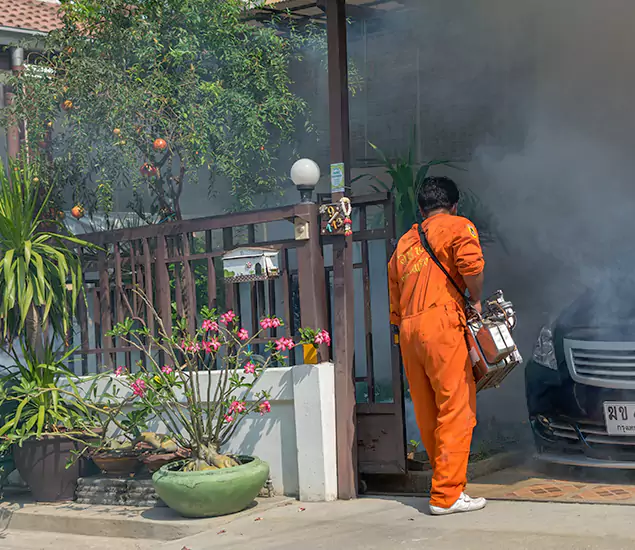 Your Proven Mosquito Fogging Company in Novi, MI