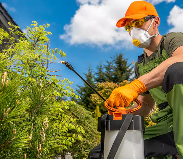 Your Best Bug Spray for Home Team in Novi, MI