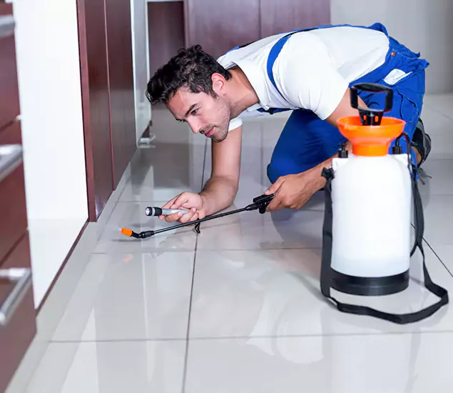 Reliable Professional Mouse Removal: Your Best Mouse Control Company in Novi, MI